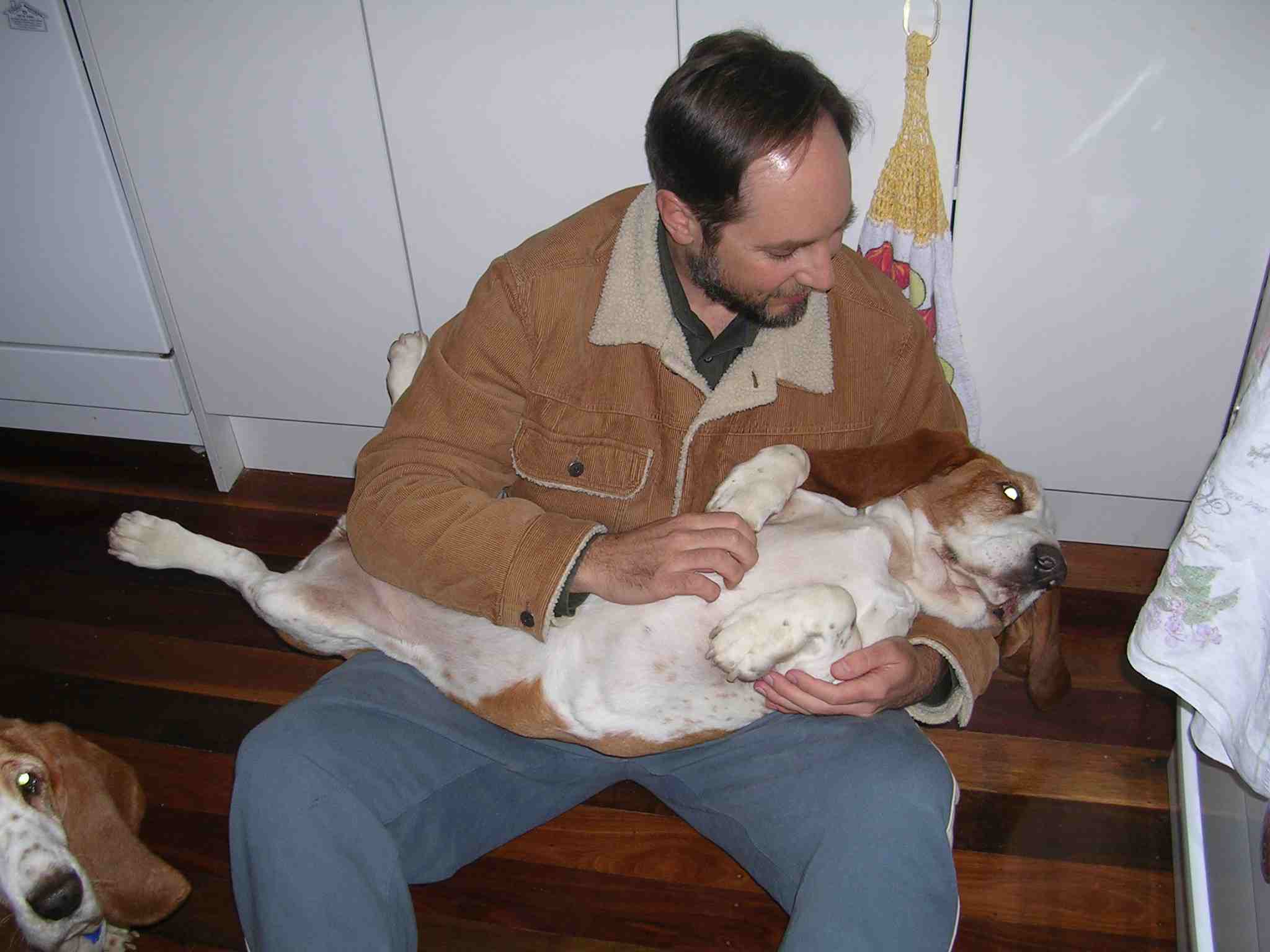 Bailey Tummy Rub