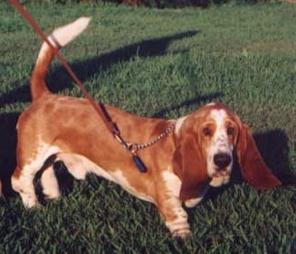 Finlay in 2002