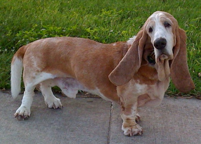 Finlay in 2011