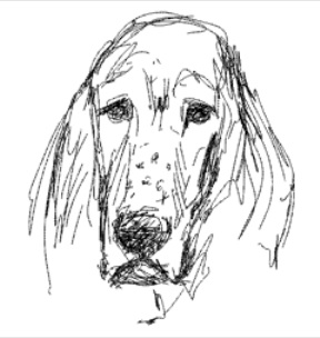 Finlay face by Rob Spekkens