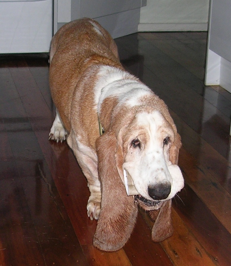 Finlay in 2002