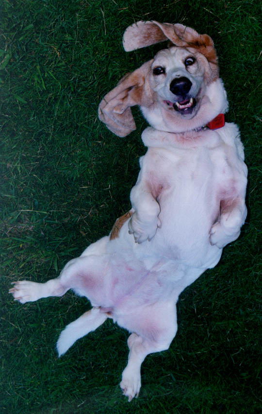 Jemima Tummy Rub