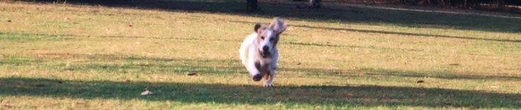 Running
